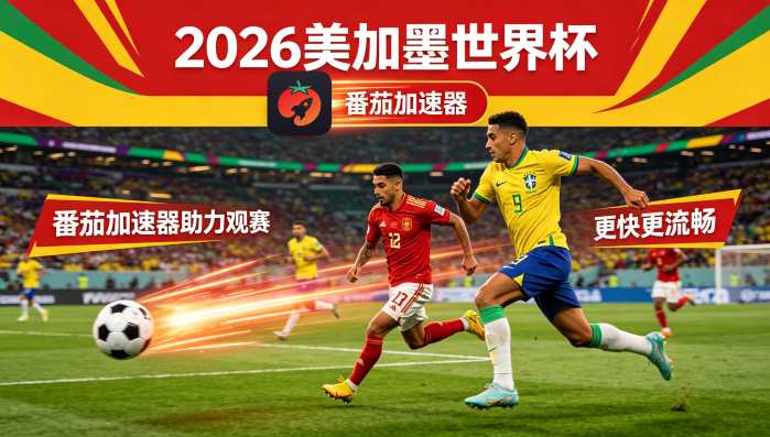 国外怎么看央视世界杯教程