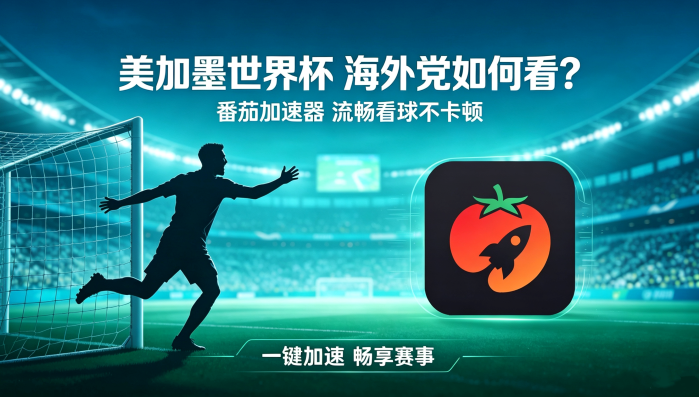 在加拿大看B站世界杯无法播放教程